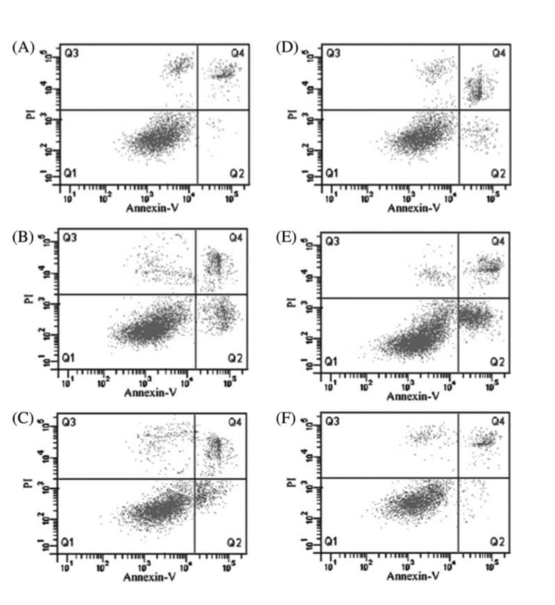 论文图片,论文图片造假,Elisabeth Bik